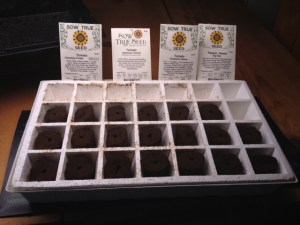 seed starting